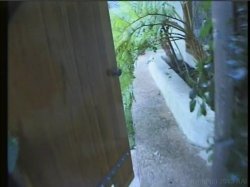 'Video Adventures of Peeping Tom 8' screenshot nº 73