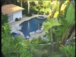 'Video Adventures of Peeping Tom 8' screenshot nº 8