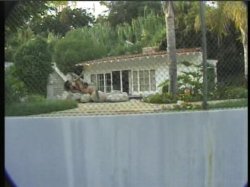 'Video Adventures of Peeping Tom 8' screenshot nº 12