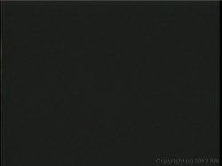 'Video Adventures of Peeping Tom 8' screenshot nº 130