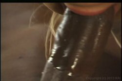 Captura de 'Little White Slit Meet Big Black Dick' nº 136