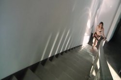 Captura de 'Bush 3' nº 34