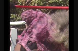 'Head Lock' screenshot nº 125