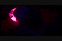 'Strong Sensations' screenshot nº 45