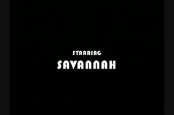'Savannah Superstar' screenshot nº 1