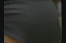 'Savannah Superstar' screenshot nº 121