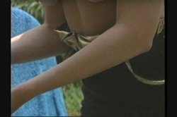 'Savannah Superstar' screenshot nº 127