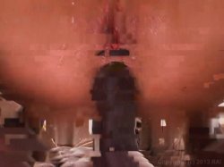 'Diesel Dongs Vol. 13' screenshot nº 36