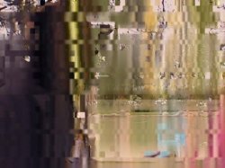 'Diesel Dongs Vol. 13' screenshot nº 4