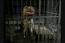 'Beyond Innocence' screenshot nº 60