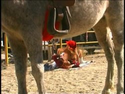 'Tit To Tit Collection Vol. 4' screenshot nº 107