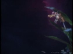 Captura de 'She's My Little Fortune Nookie' nº 101
