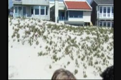 Captura de 'Beach Bunnies With Big Brown Eyes 4' nº 78