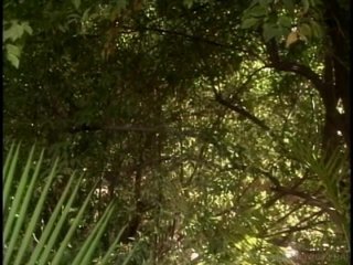 She&#39;s My Little Fortune Nookie - Scene5 - 6