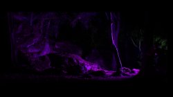 Captura de 'Fixxxion Season 1' nº 65