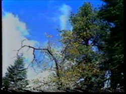 'Barbara Dare Triple Feature' screenshot nº 107