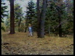 'Barbara Dare Triple Feature' screenshot nº 119