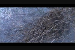 'Soldier, The' screenshot nº 3