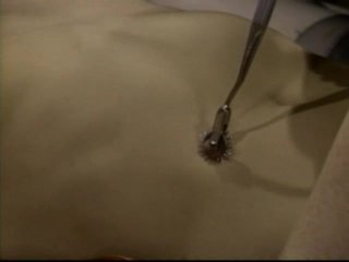 Adventures In Bondage - Scene1 - 4