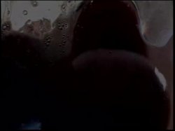 Captura de 'Best BJ's Volume 3' nº 97