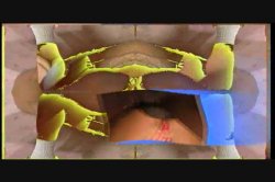 Captura de 'Gang Bang Slut 8' nº 52