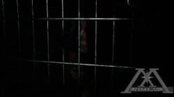 'Feral II' screenshot nº 11