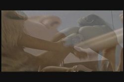 Captura de 'Blonde Eating the Blonde, The' nº 77