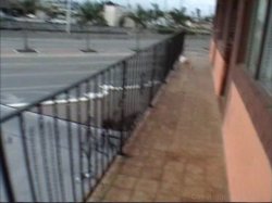 'Agent Filthy 0069 - Mission 2' screenshot nº 62