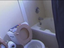 'Butt Plumbers 4' screenshot nº 4