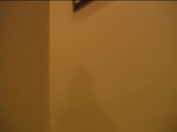 'Butt Plumbers 4' screenshot nº 75