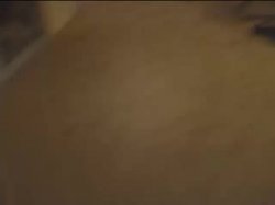 'Butt Plumbers 4' screenshot nº 19