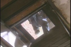'Ass Collector, The' screenshot nº 130