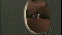 Captura de 'Mr Bigg and His Bitches 2' nº 14