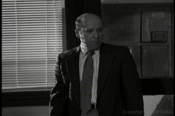 'Shagnet' screenshot nº 73