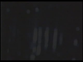 Puritan Video Magazine 20 - Scene5 - 1