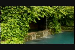 Captura de 'Puritan Video Magazine 19' nº 85