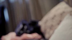 Captura de 'My Wife Is Cheating On Me' nº 107