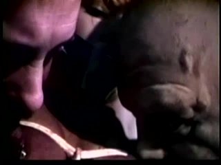 Video Pirates 4 - Scena3 - 5
