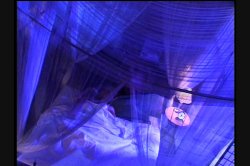 'No Man's Land 39' screenshot nº 126
