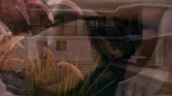 Captura de 'Young Fantasies Vol. 9' nº 128