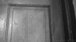 Captura de 'Blair Witch Project, The: A Hardcore Parody' nº 30
