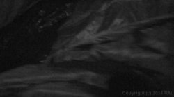 Captura de 'Blair Witch Project, The: A Hardcore Parody' nº 65