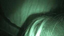 Captura de 'Blair Witch Project, The: A Hardcore Parody' nº 100