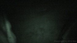 Captura de 'Blair Witch Project, The: A Hardcore Parody' nº 103