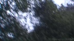 Captura de 'Blair Witch Project, The: A Hardcore Parody' nº 116