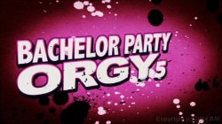 'Bachelor Party Orgy 5' screenshot nº 2