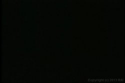 'Backdoor Bradys' screenshot nº 44