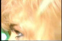 'Peter North: The Lost Footage' screenshot nº 17