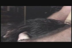 'Freshman Fantasies 9' screenshot nº 13