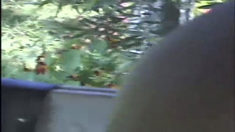 streaming porn video screenshot